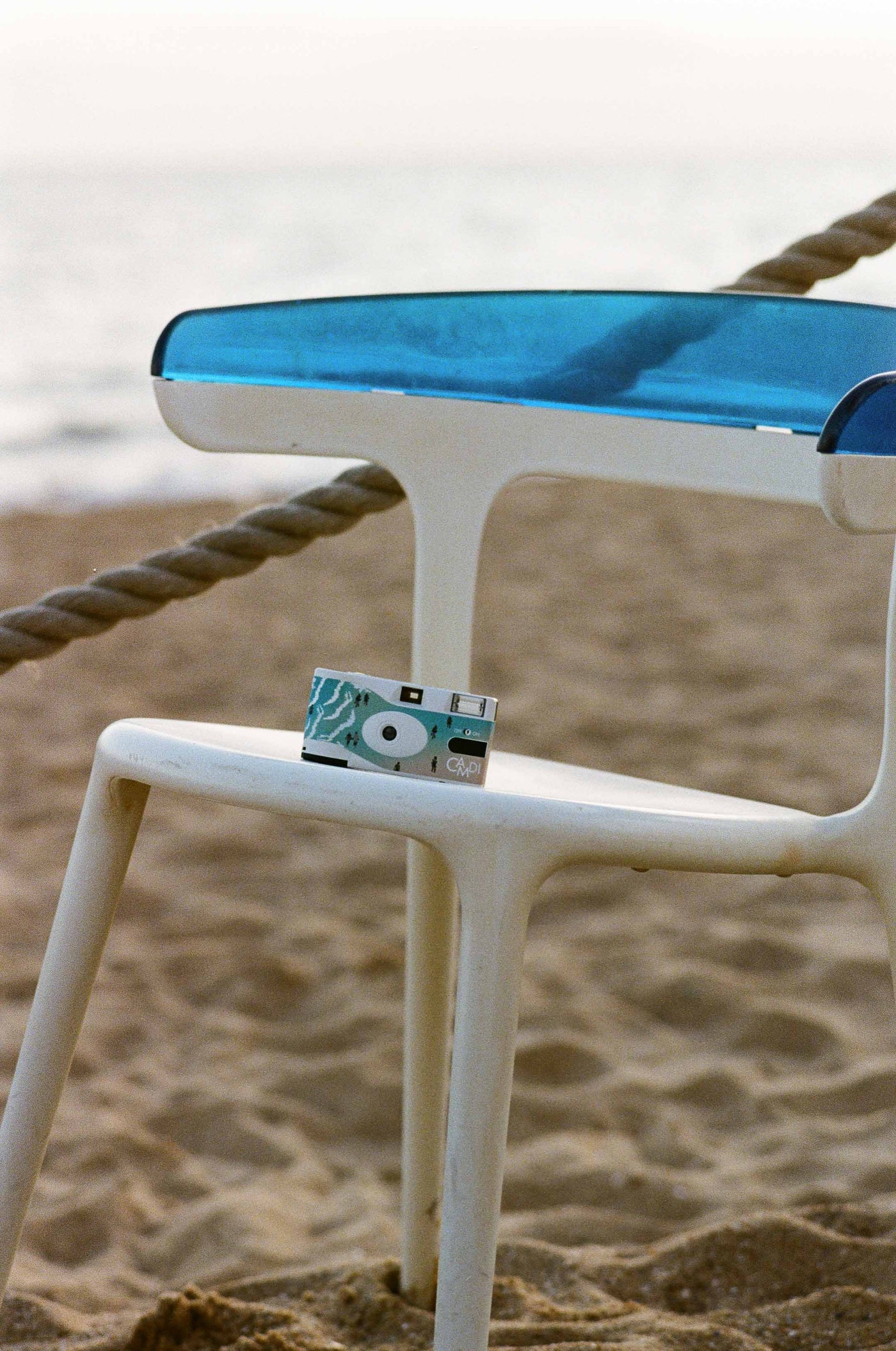 Coastal film photograph showing golden beach light and natural grain